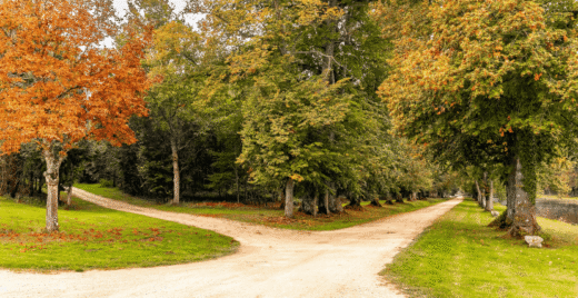 Road with two pathways